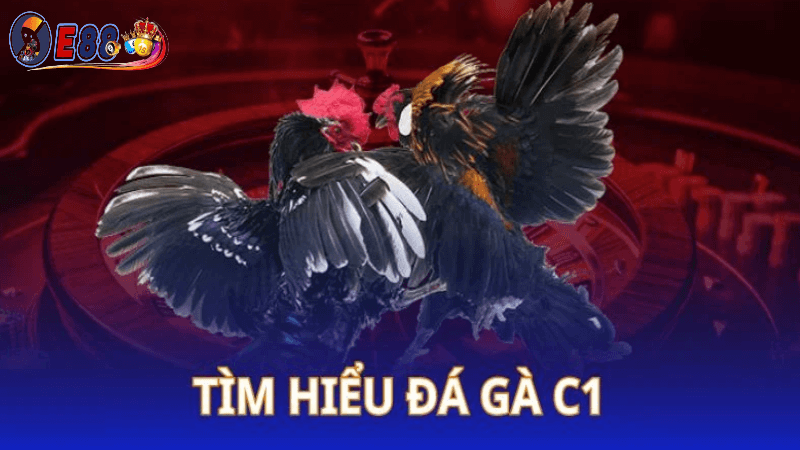 Trực tiếp đá gà c1 tại E88